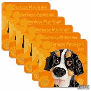     Bernese mountain dog 10,510,5 340-3503 -  