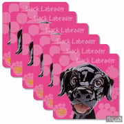     Black labrador 10,510,5 340-3504