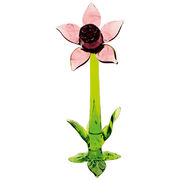  Spring Fantasy Bell Flower 12 3593890029