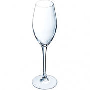Набор бокалов для шампанского Sequence 240мл P3787/1